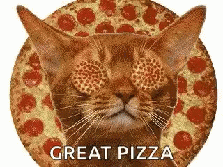 Pizza Cat GIF - Pizza Cat Hypnotize GIFs
