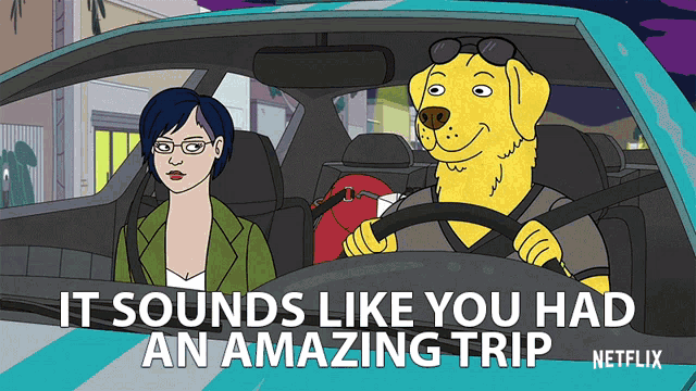 a cartoon of a woman and a dog in a car with the words " it sounds like you had an amazing trip "