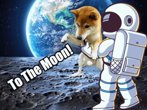 Dogecoin Meme GIF - Dogecoin Meme Doge GIFs