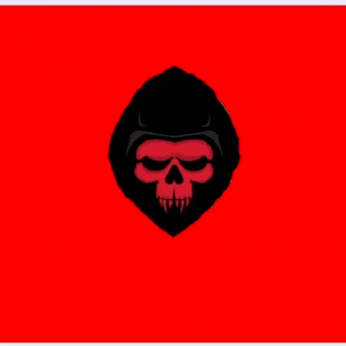 a grim reaper with a skull and crossed scythes