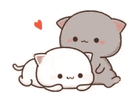 a couple of cats are laying next to each other on a white background with a heart in the background .