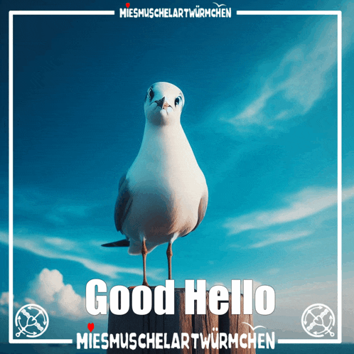 a seagull is standing on a post with the words good hello written below it