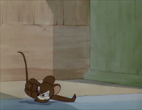 Getting Ready To Throw Down GIF - Tom And Jerry Mouse Fighting GIFs