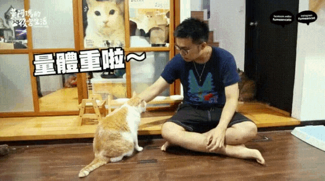 a man sits on the floor petting a cat in a room with chinese writing on the wall behind him