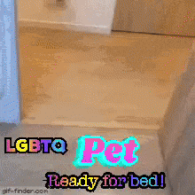 a picture of a cat with the words lgbtq pet ready for bed below it