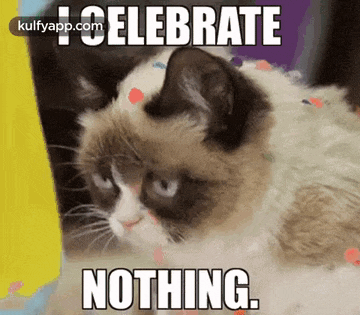 a grumpy cat laying down with a caption that says i celebrate nothing