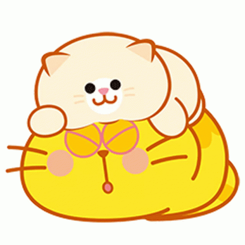 Fat Kitty Cat Egg Yolk Cat GIF - Fat Kitty Cat Egg Yolk Cat Cute GIFs