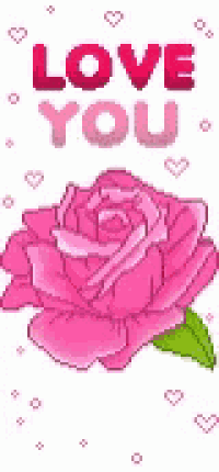 a pixel art of a pink rose with the words `` love you '' written on it .