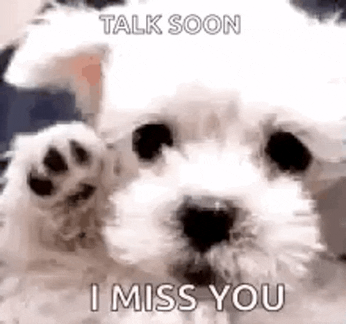 a white dog is waving its paw and saying `` i miss you '' .