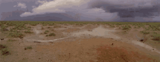 a brown horse is running through a desert .