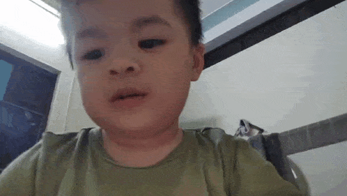 a young boy in a green shirt is looking at the camera .
