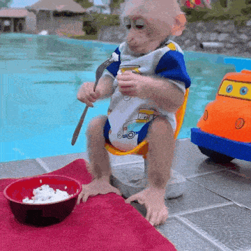 a baby monkey is sitting next to a bowl of food with a fork and knife