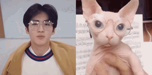 a man wearing glasses next to a cat with glasses