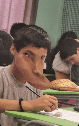 a boy with a very long nose sits at a desk in a classroom