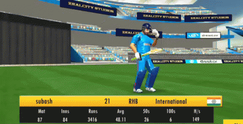 Cricket Video Game GIF - Cricket Video Game GIFs