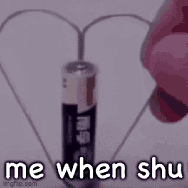 a person is holding a heart shaped object next to a battery and the words `` me when shu '' .