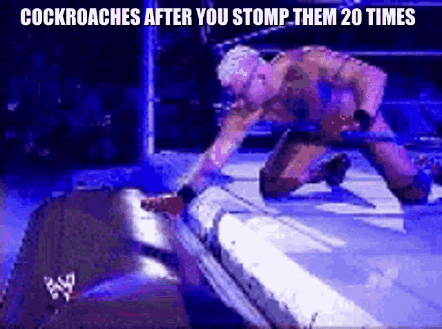 a man in a wrestling ring with the words cockroaches after you stomp them 20 times on the bottom
