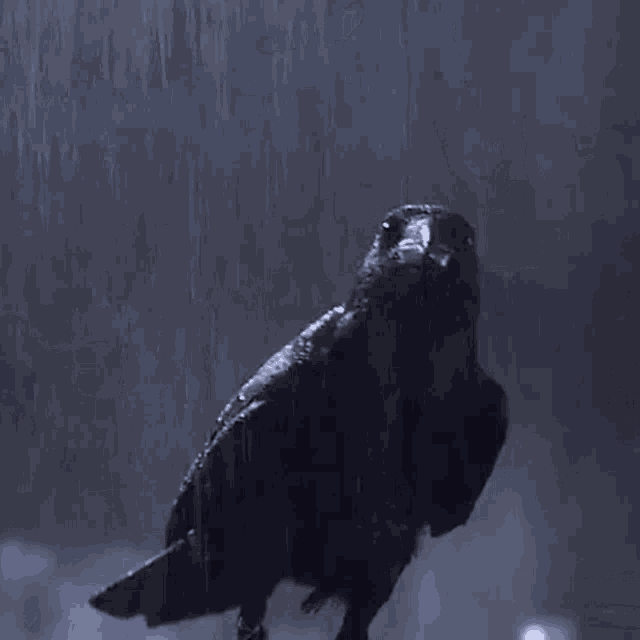 The Crow The Crow Movie GIF - The Crow The Crow Movie Brandon Lee GIFs
