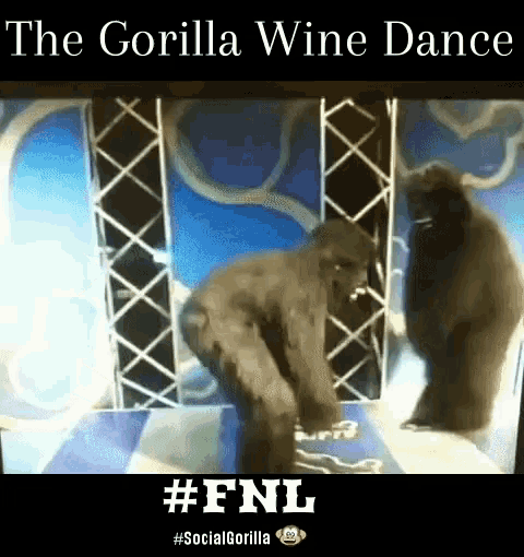 Gorilla Wine GIF - Gorilla Wine Dance GIFs