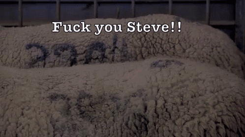 a bald man in a grey hoodie says fuck you steve !