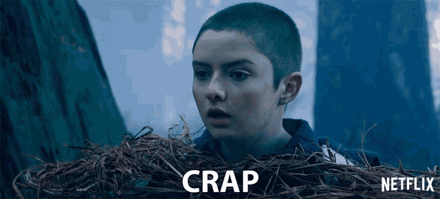 a netflix ad shows a boy with a shaved head and the word crap