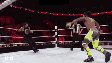 a wrestling match is being broadcast on usa