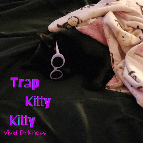 a black cat is laying under a blanket with the words trap kitty kitty vivid drkness on the bottom