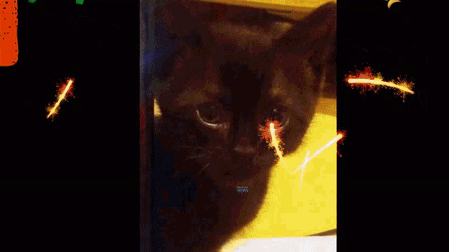 a black cat is behind a sign that says breaking news