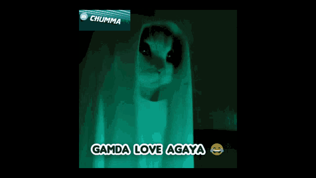 a picture of a cat in a ghost costume with the words gamda love agaya below it