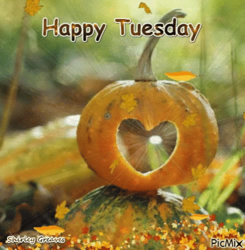 Happy Tuesday Pumpkin GIF - Happy Tuesday Pumpkin Leaves Falling GIFs