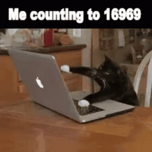 Cat Typing GIF - Cat Typing Counting GIFs