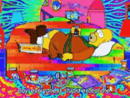 a cartoon of homer simpson laying on a couch with the words boy everyone 's stupid except me