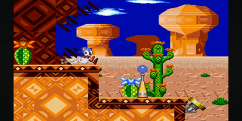 a sonic the hedgehog video game with a cactus