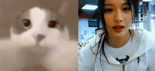 a close up of a cat 's face and a woman 's face