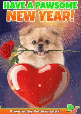a picture of a dog holding a rose and a heart with the words have a pawsome new year