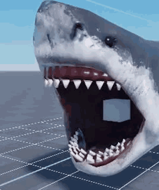 a close up of a shark with its mouth open .