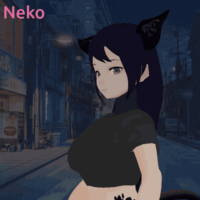 neko is the name of the anime character shown in the picture