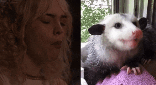 a picture of a woman next to a picture of a possum