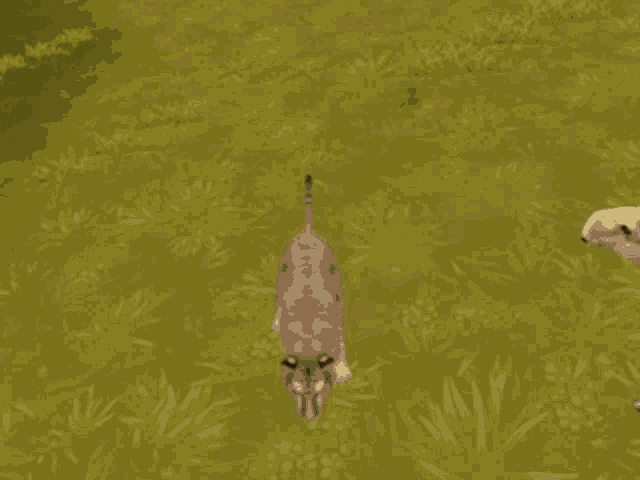 a tiger is standing on its hind legs in front of two antelopes