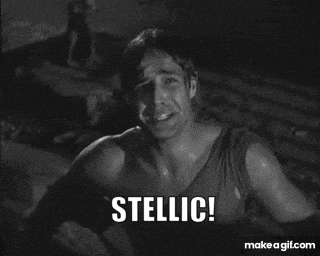 a black and white photo of a man with the words " stellic " on the bottom