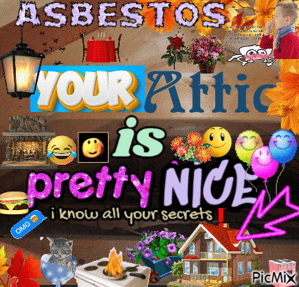 a collage of pictures with the words asbestos your attic is pretty nice