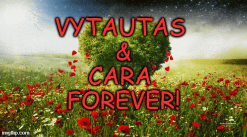 Vytautas Cara GIF - Vytautas Cara Love GIFs