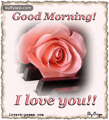 a pink rose sits on top of a piano keyboard with the words good morning i love you