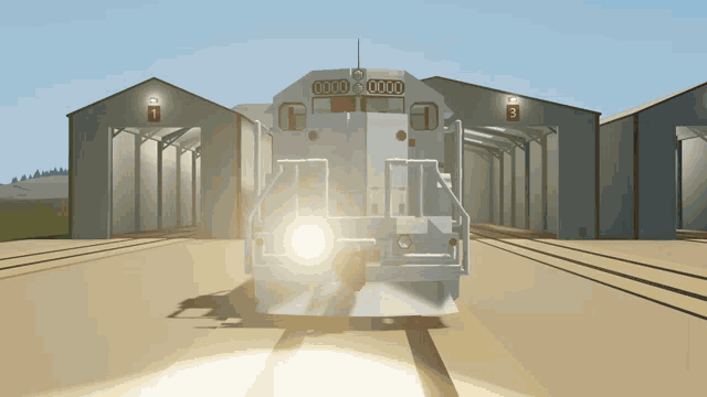 a white train with the number 0000 on the front