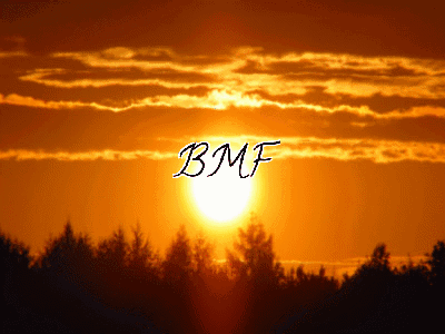 Bmf Be My Friend GIF - Bmf Be My Friend Mebyfriend GIFs