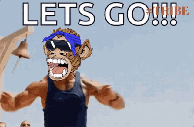 a cartoon of a monkey with a bandana and sunglasses says lets go tribe