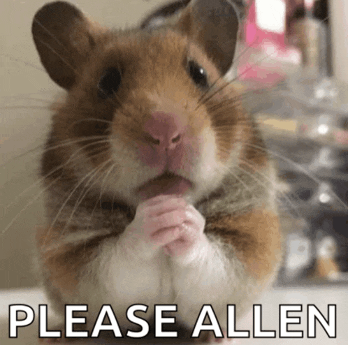 a hamster with its hands folded and the words please allen below it