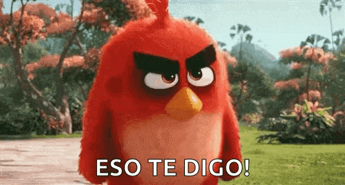 a red angry bird from the angry birds movie is standing in a field and says eso te digo !