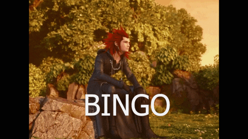 a man with red hair is sitting on a rock with the word bingo behind him