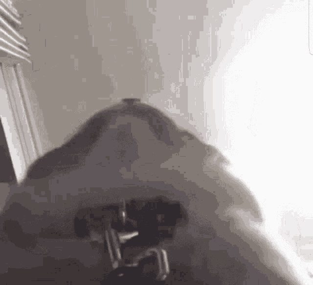 a close up of a person 's back with a gun in it .